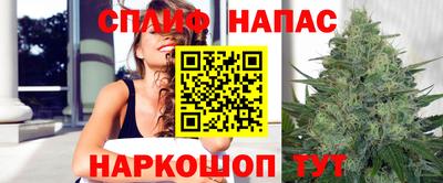 mdpv Ярославль
